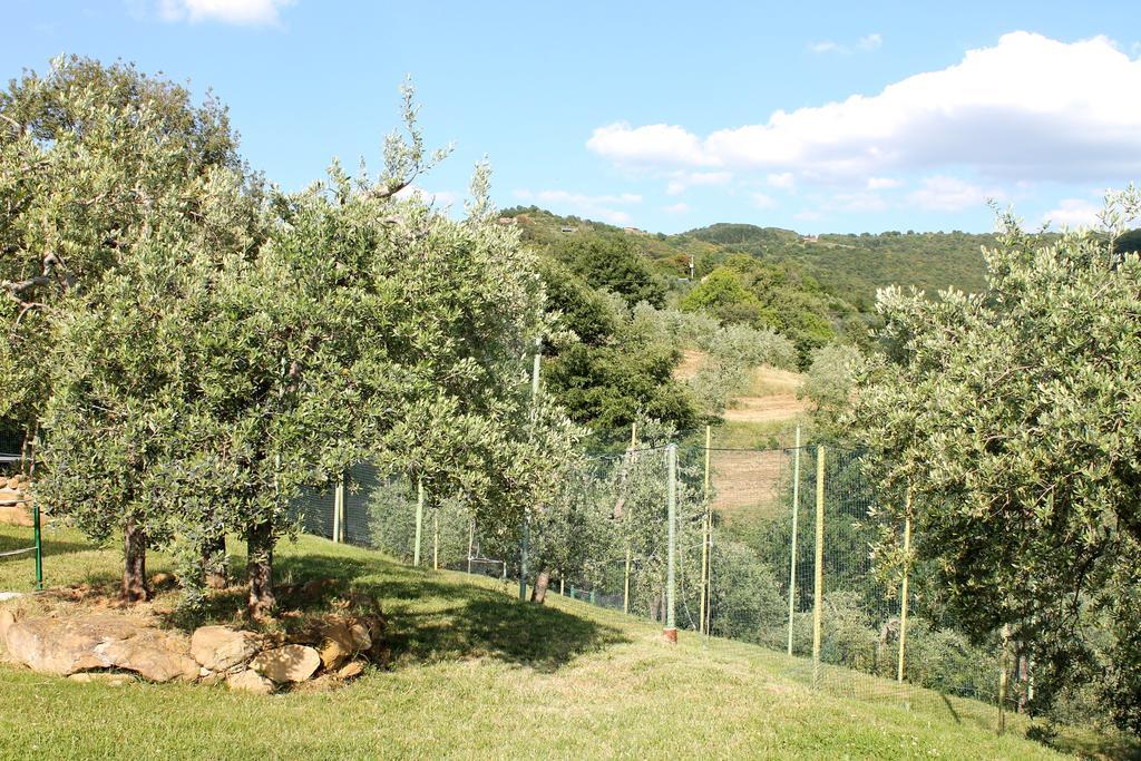 Agriturismo Malagronda Ravigliano Ngoại thất bức ảnh