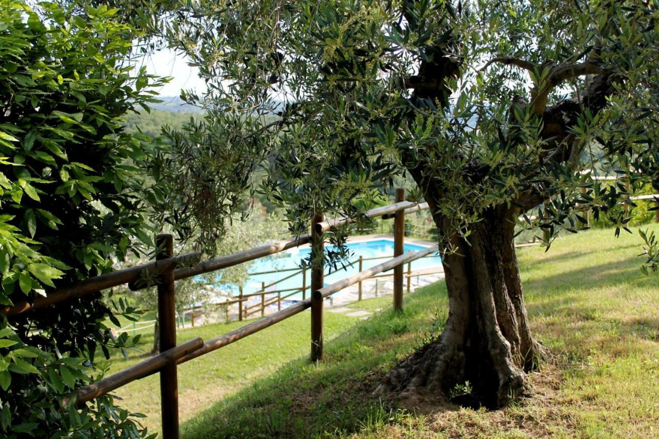 Agriturismo Malagronda Ravigliano Ngoại thất bức ảnh